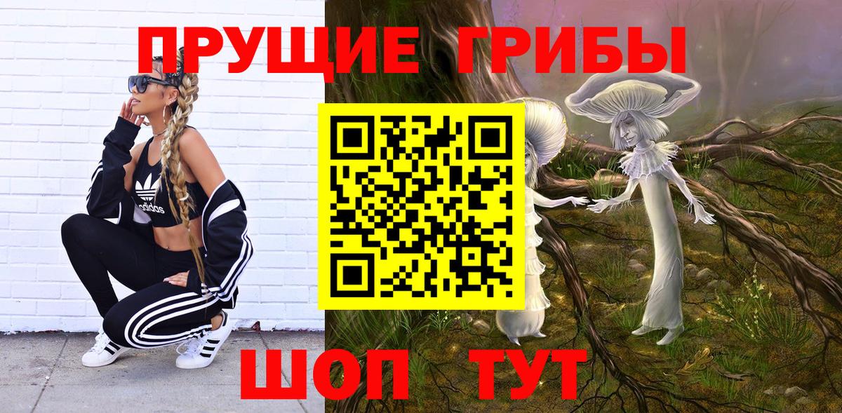 Заводоуковск  Псилоцибиновые грибы ЛСД  Псилоцибиновые грибы GOLDEN TEACHER  Вход с VPN 